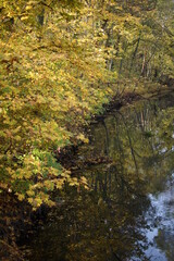Autumn. Fall nature scene. Autumnal park.