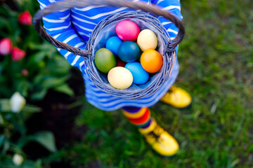 Close-up of of hands of toddler holding basket with colored eggs. Child having fun with traditional Easter eggs hunt, outdoors. Celebration of christian holiday