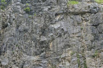 Weathered rock face texture in old stone pit with parts of green. Aged stone wall surface background pattern with cracks and scratches