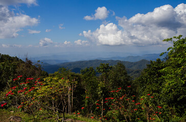 Mountain view, blue sky, forest trees, afternoon air