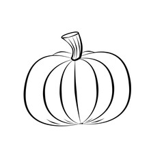 One round pumpkin on white background, nature, halloween, vegetable. Outline drawing. Black contour.