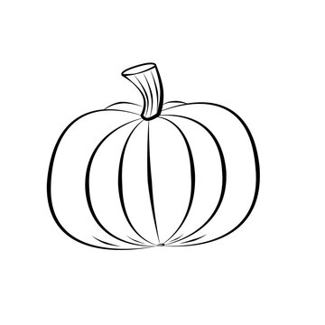 One round pumpkin on white background, nature, halloween, vegetable. Outline drawing. Black contour.