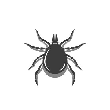 Encephalitis mite warning sign, 3d silhouette of a bloodsucker insect