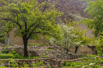 Jizeu (Jizev or Jisev) village in Pamir mountains, Tajikistan