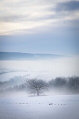 Winterstimmung im National Park Bayerischer Wald