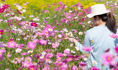young woman wearing straw hat and white dress walking in margaret flower field in summer (focus at...