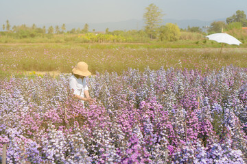 woman wearing straw hat and white dress walking in margaret flower field in summer
