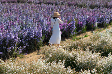 woman wearing straw hat and white dress walking in margaret flower field in summer