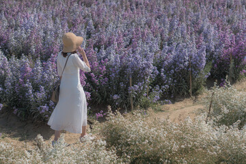 woman wearing straw hat and white dress walking in margaret flower field in summer