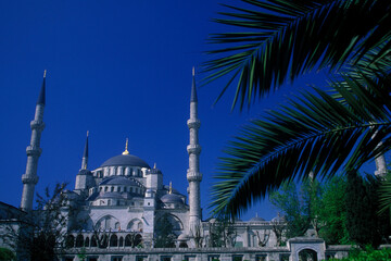 Naklejka premium TURKEY ISTANBUL BLUE MOSQUE