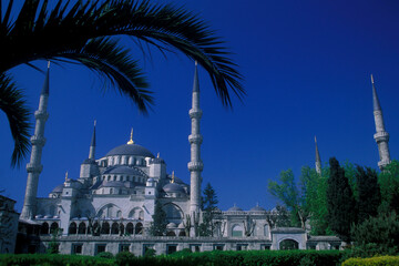 Obraz premium TURKEY ISTANBUL BLUE MOSQUE