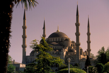 TURKEY ISTANBUL BLUE MOSQUE