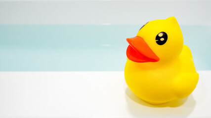 Yellow plastic duck on the bathtub. Duck vacation concept