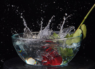 Flower splash in water on black background
