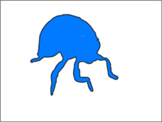 bug blue vectors on the white background
