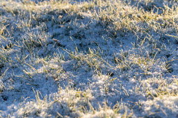 Rime on the morning frost covered with snow.