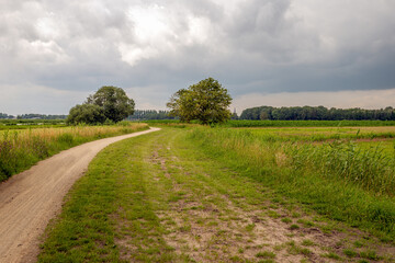 Meandering path in a peat meadow area in a polder in the Dutch province of Noord-Brabant. It is a cloudy day at the end of the spring season.