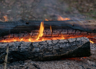 landscape with a burning campfire on the lake shore, glowing wooden logs and red fire flames