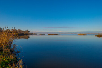 Shore of a blue lake in wetland under a bright blue sky, Almere, Flevoland, The Netherlands, January 1, 2021