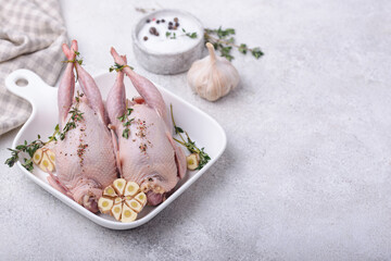 Fototapeta na wymiar Raw quail meat with spices, garlic and herbs