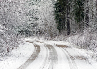 winter landscape with a snowy country road and snow-covered trees on the side of the road, winter