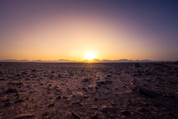 Fototapeta premium Sonnenuntergang in der arabischen Wüste