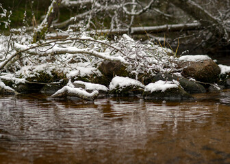 snow-covered rock and dry grass by the river, winter day in nature