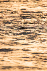 河川の流れ・波（暖色）