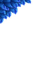 新緑　葉　青　背景　フレーム
タイトル変更