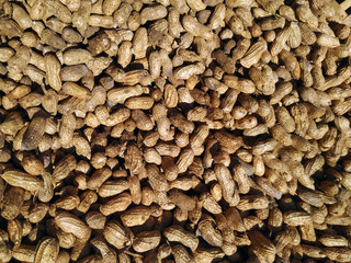 some dried peanuts in the sun. full of peanuts background
