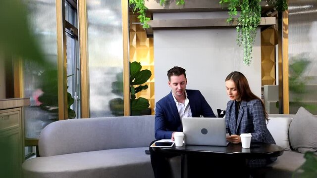 Caucasian business people is working on new strategic planning for next year using laptop while working in green eco friendly modern working space surrounded by air purifying house plant