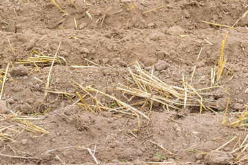 Fresh tillage background