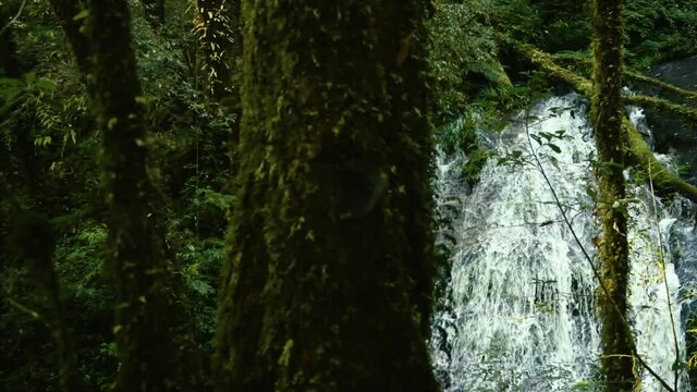pan video shot of natural waterfall in the rainforest
