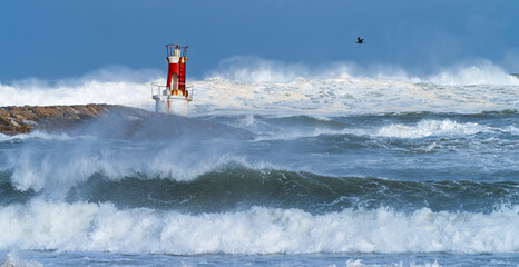 Swell in the Cantabrian Sea in the area of the Buoy Lighthouse of La Barra de San Vicente de la...