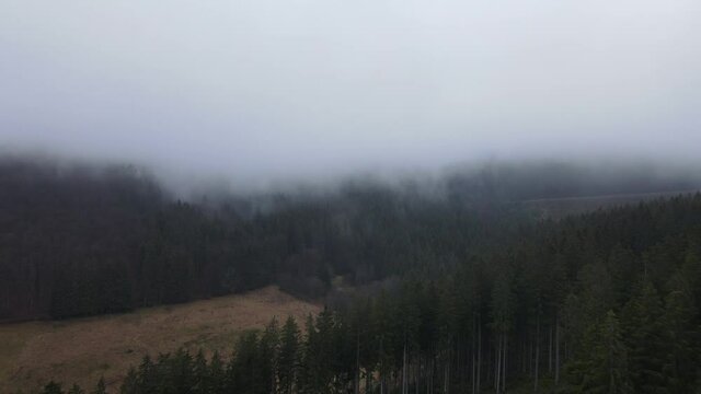Flug &uuml;ber die W&auml;lder in die Wolken hinein