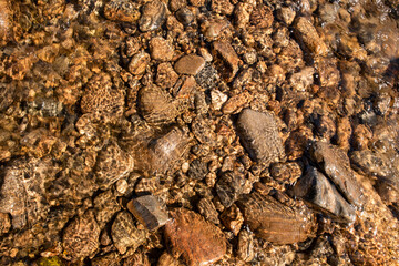 background of stones in river water