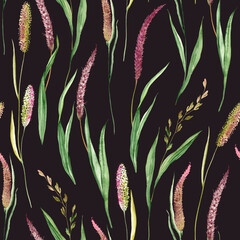 Fototapety  Kwiatowy wzór akwarela z dzikich roślin i trawy. Kolorowa ilustracja na ciemnym tle.