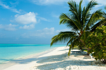 Beautiful view on the beach. White sand and palm trees and blue ocean and chaise longue