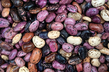  Beans background and textured. Top view.Background multicolored bean.