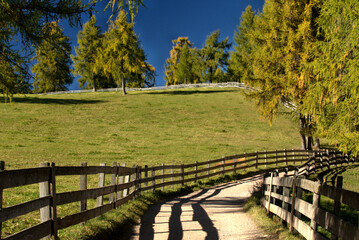 Fernwanderweg  am Langfenn bei M&ouml;lten
