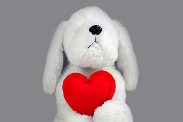 White toy dog with red valentine heart on a gray background.