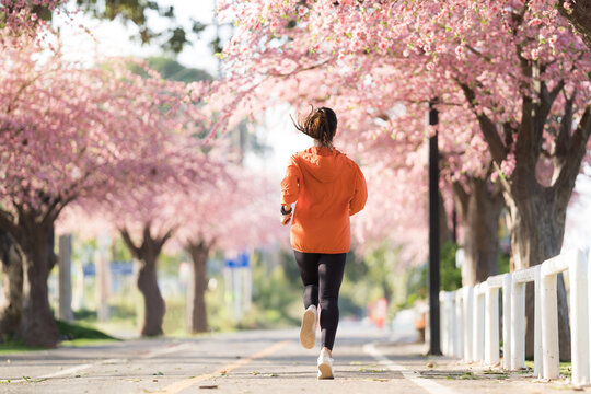 Asian woman exercise in the morning She is running at Sakura Park.