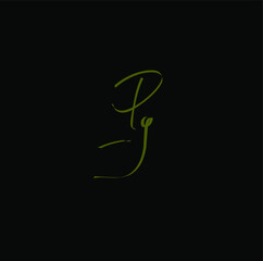 Pg handwritten logo for identity black background