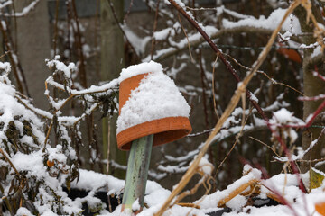 Snow-covered inverted flowerpot as a shelter for insects