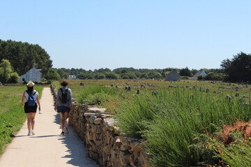 Ruta en Carnac