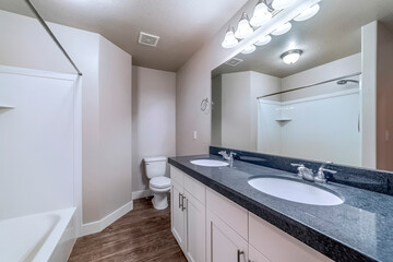 Bathroom with bathtub in front of vanity area with double oval sink and mirror