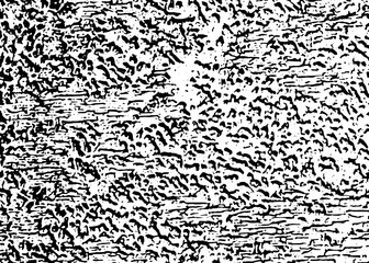 Grunge texture for your creativity. Suitable for creating collages, texture brushes, and backgrounds.