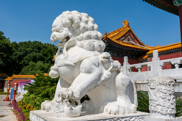 Chinese traditional culture, ancient Chinese marble stone female lion sitting lion in front of New...