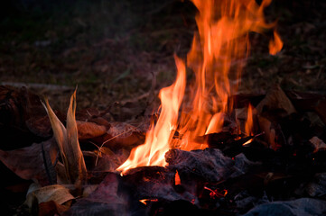 The flames of the night, little fire