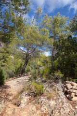 Way to La Caixa